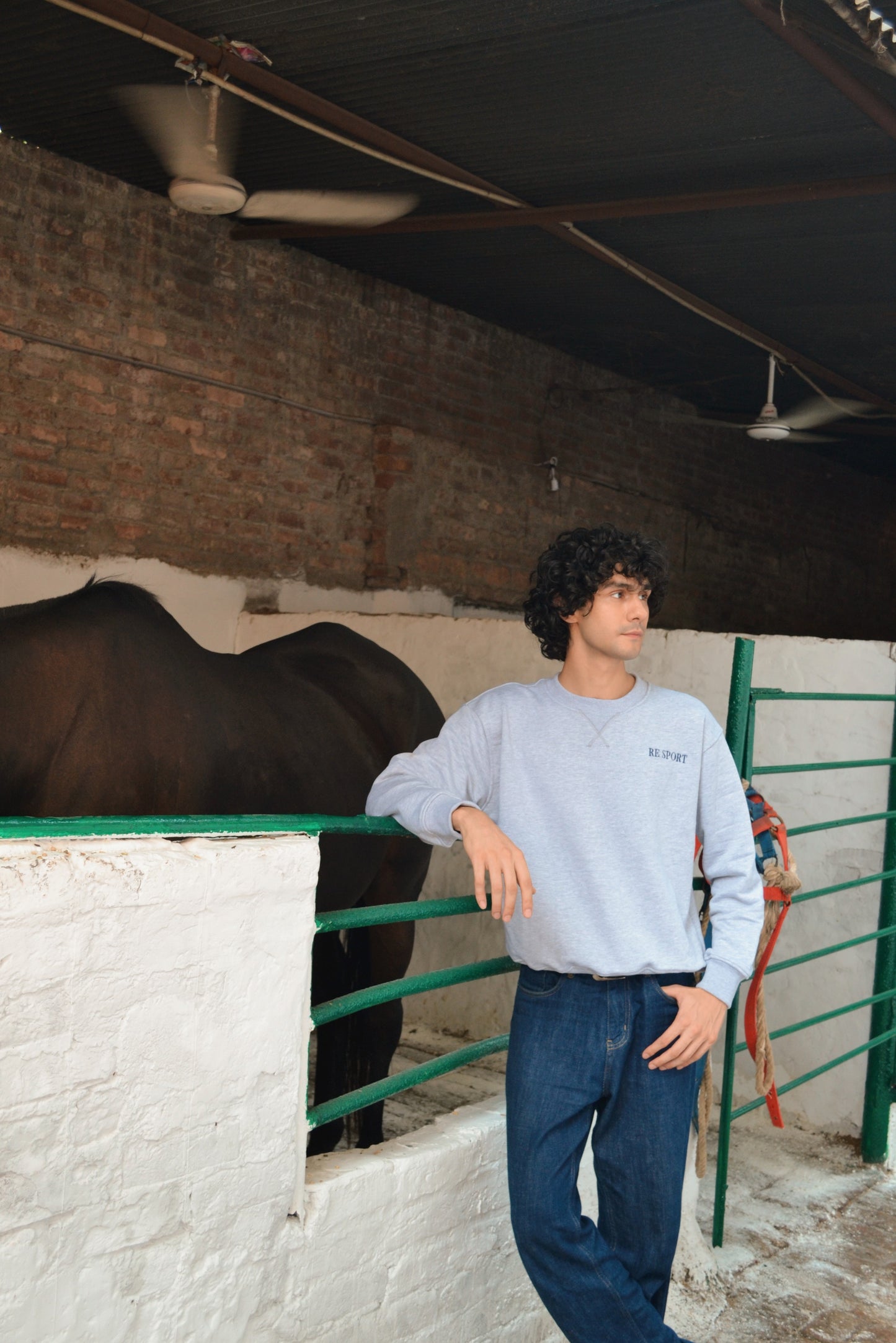 Roan Crewneck